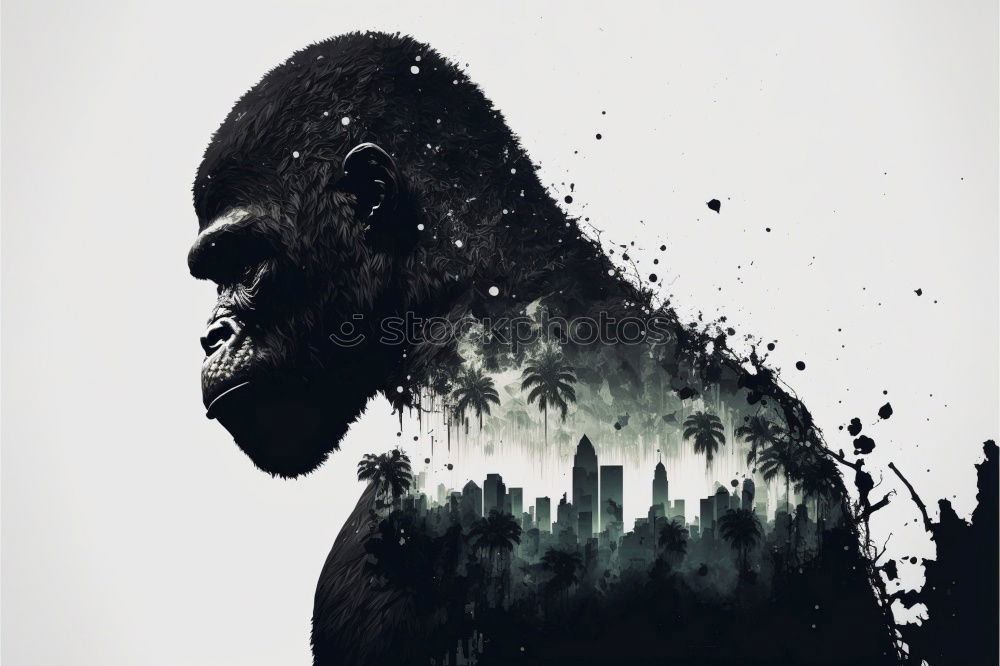 Similar – Image, Stock Photo King Kong’s alive! Gorilla