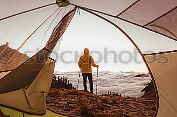 Similar – Image, Stock Photo nest building Calm