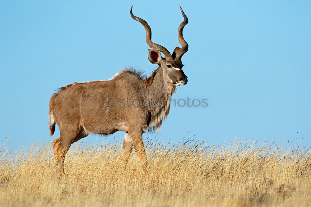 Similar – Image, Stock Photo What to watch Environment