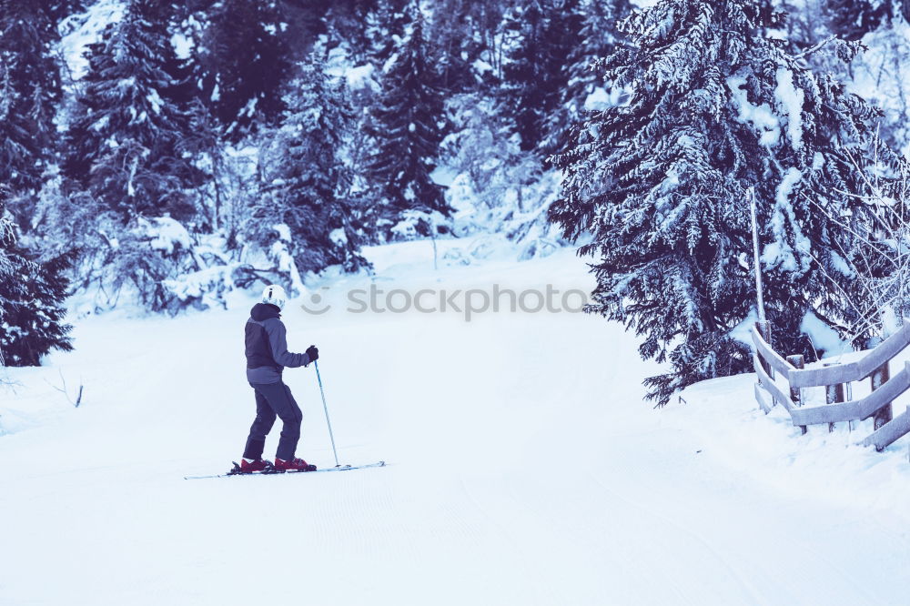 Similar – toboggan run