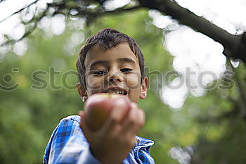 Similar – apple Fruit Apple