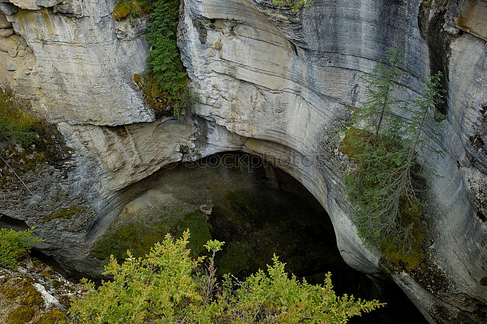 Similar – Image, Stock Photo Lion’s Den Moss Hill Rock