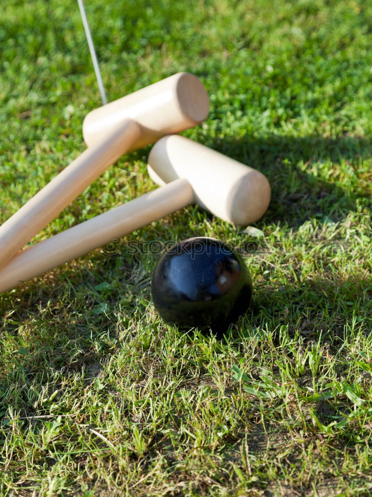 Similar – a badminton ball is lying on a badminton racket in the grass