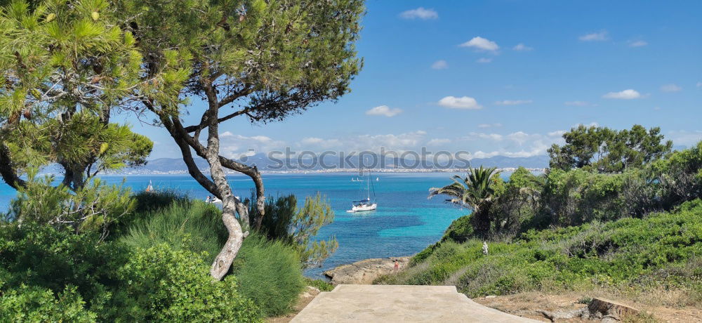 Similar – Image, Stock Photo Park bench with trees on the lake shore