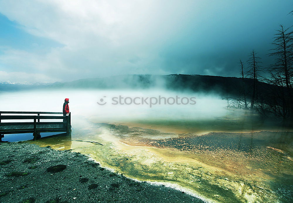 The way into the fog