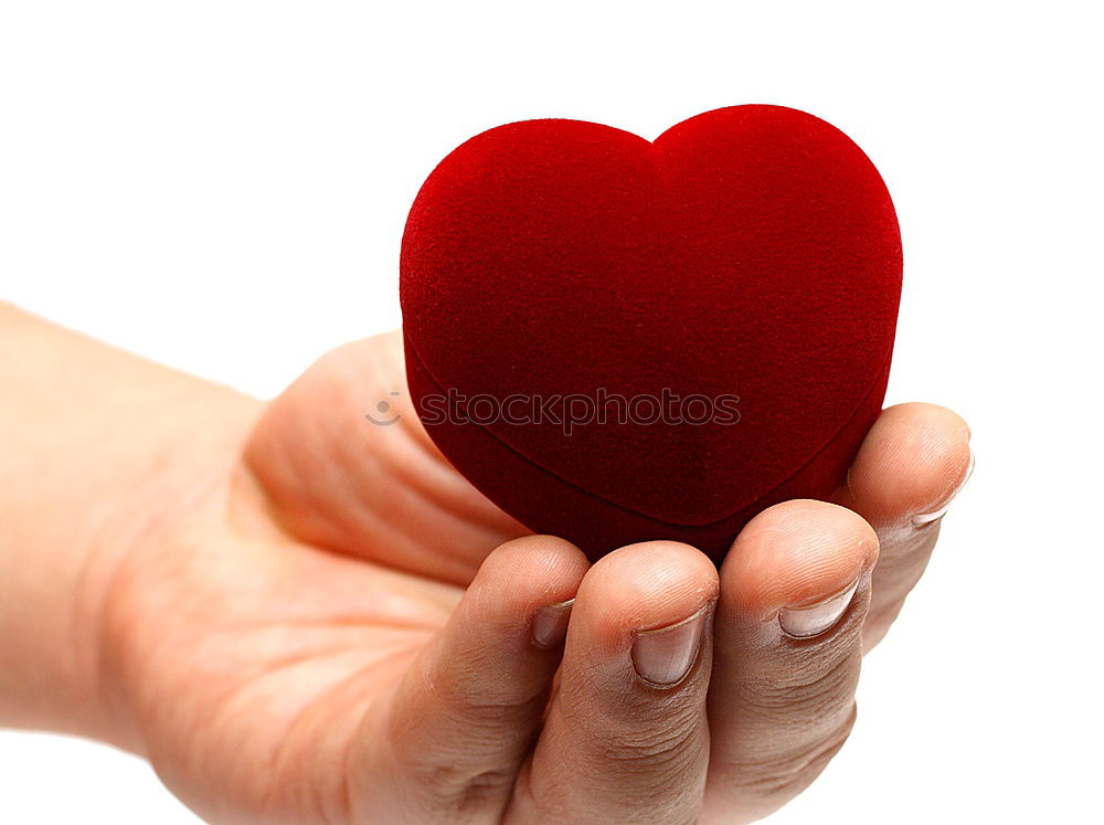 Image, Stock Photo felt heart Man Adults Hand