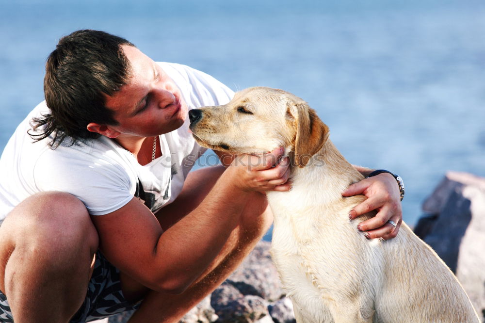 Similar – Peace, joy, dog biscuits.