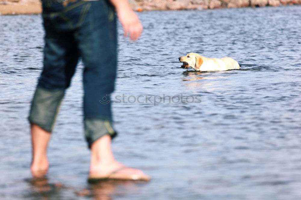 Similar – Image, Stock Photo No trespassing Flood