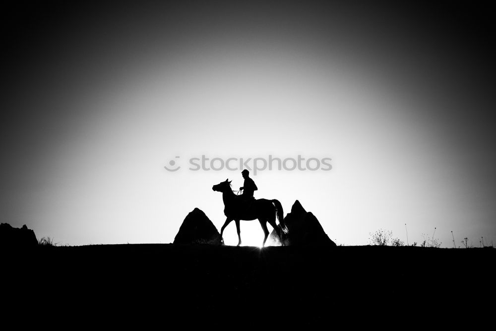 Similar – Image, Stock Photo steppe ride Ride Nature