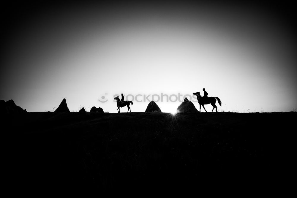 Similar – Image, Stock Photo steppe ride Ride Nature