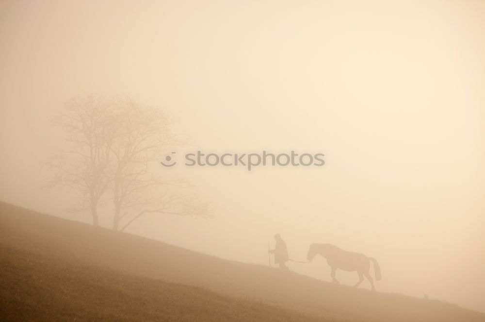 Similar – shadowy Eating Ride