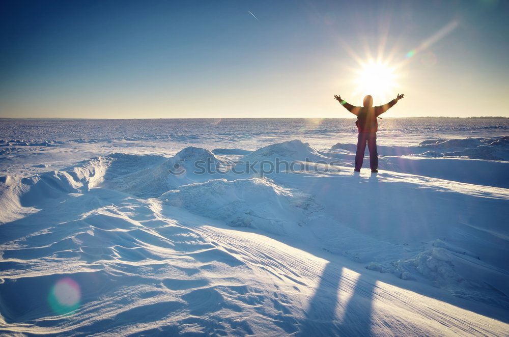 Similar – schneegestöber Freude