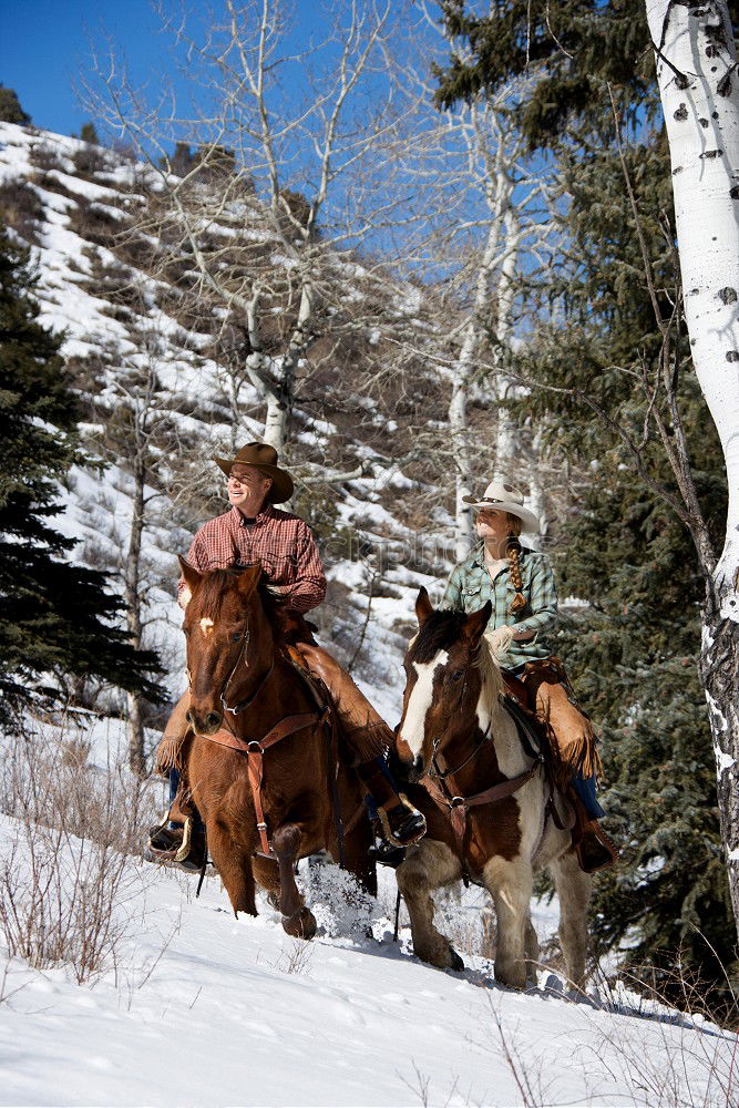 Similar – carriage ride Trip Winter