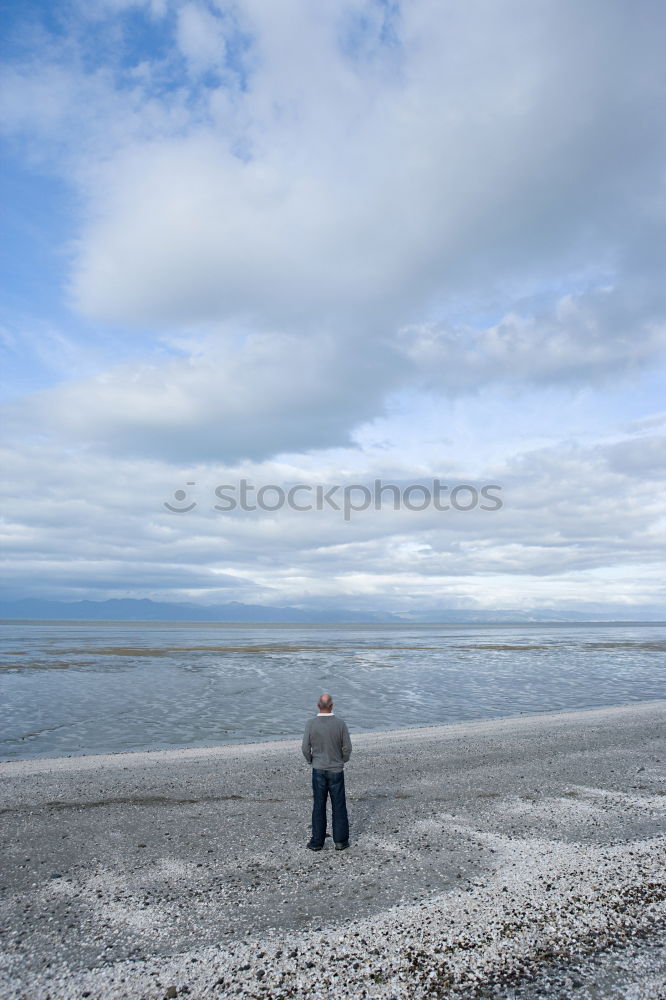 Similar – Image, Stock Photo Tipped off the mountain pines.