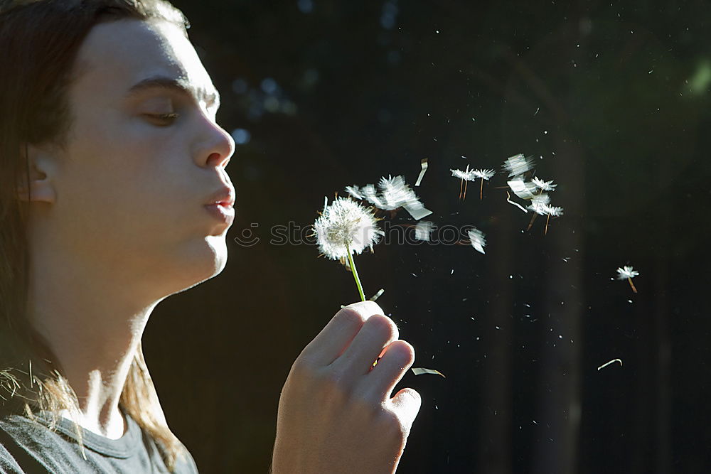 Similar – Blowing Dandelion Air