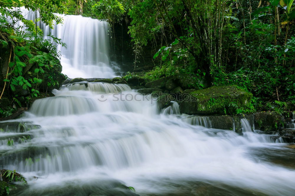 Similar – Image, Stock Photo waterfall Virgin forest