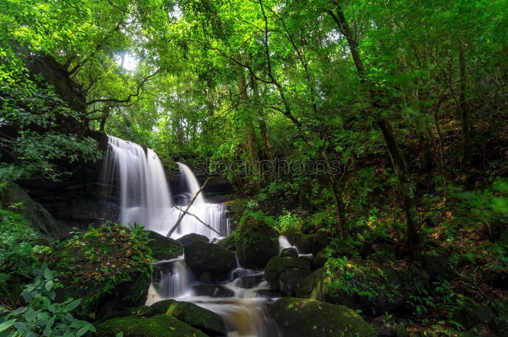 Similar – Image, Stock Photo green Environment Nature