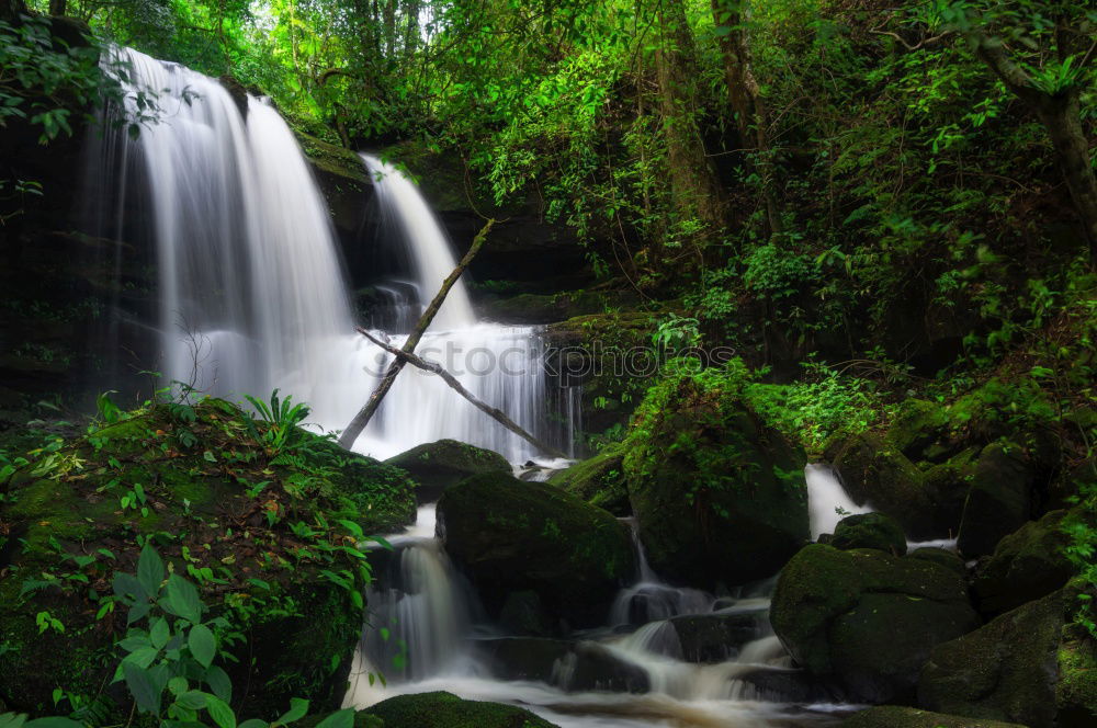 Similar – Water Brook Green River