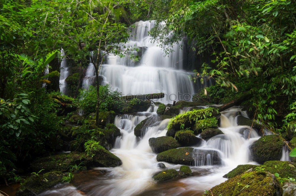 Similar – YS Waterfall Jamaica