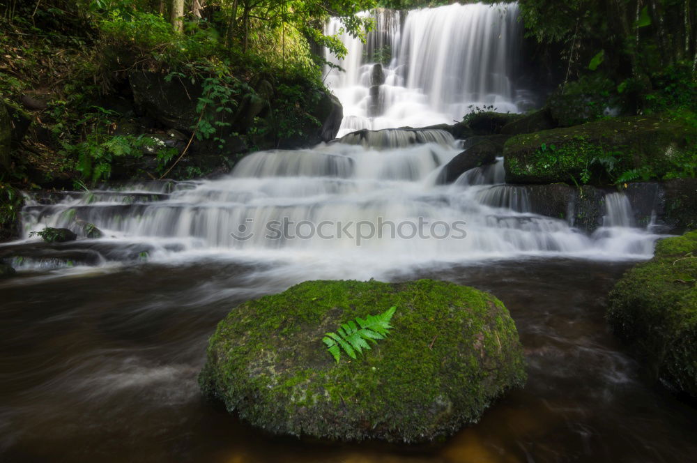 Similar – Image, Stock Photo right in the middle