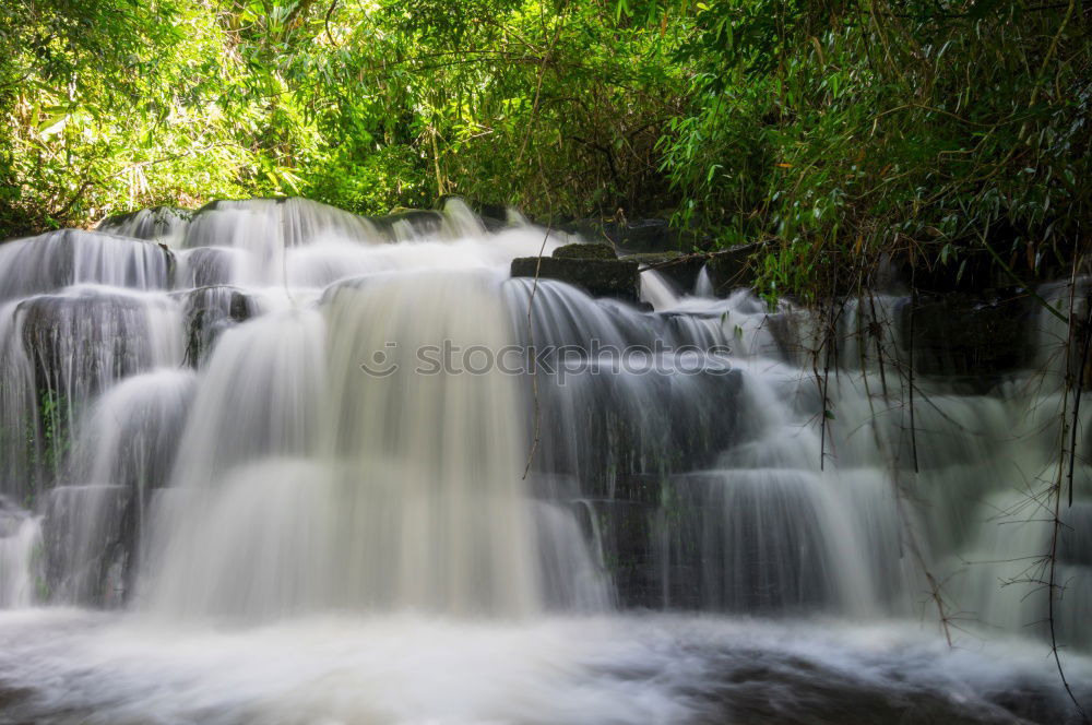 Similar – Foto Bild Krka Umwelt Natur