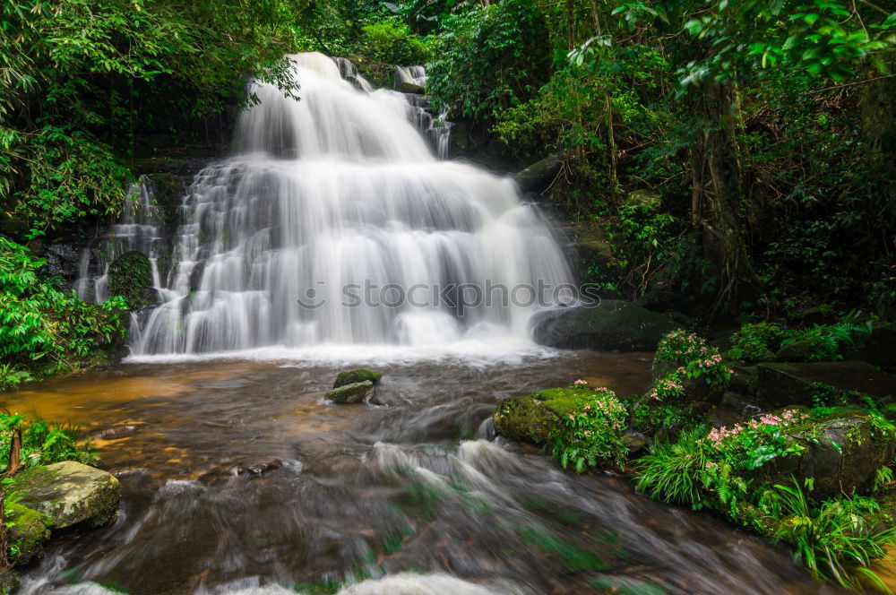 Similar – waterfall Pond Lake