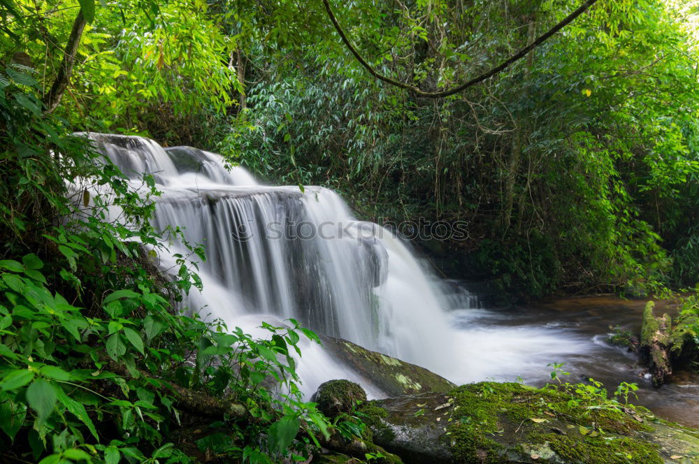 Similar – Image, Stock Photo waterfall Virgin forest