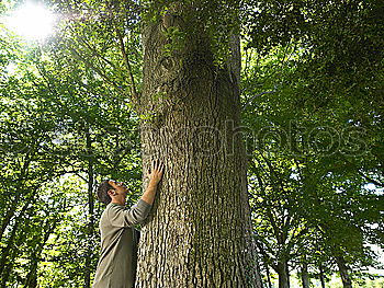 nature boy Forest Nature
