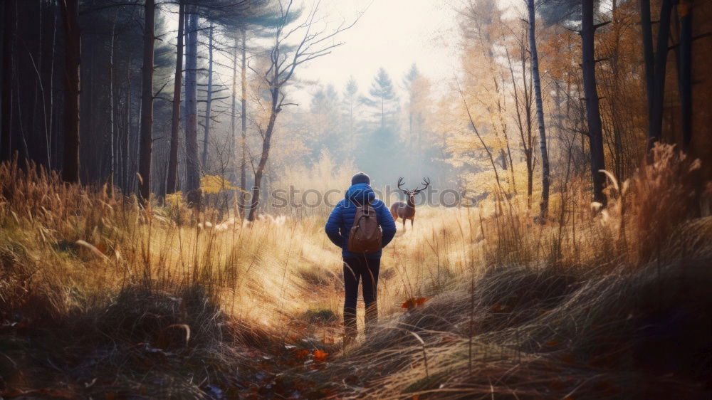 Similar – A girl walking through a forest of bare trees