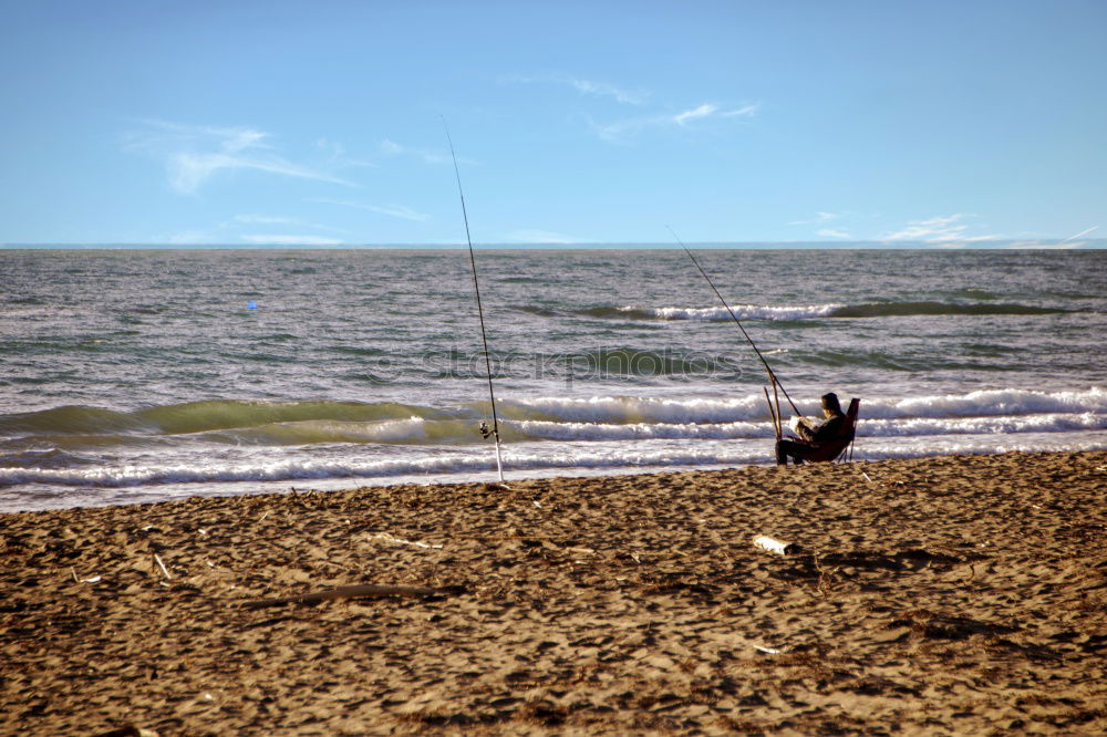 Similar – Image, Stock Photo Dog alone on the beach