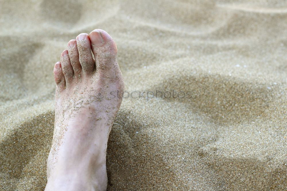 Similar – Sand am Knie Strand Meer