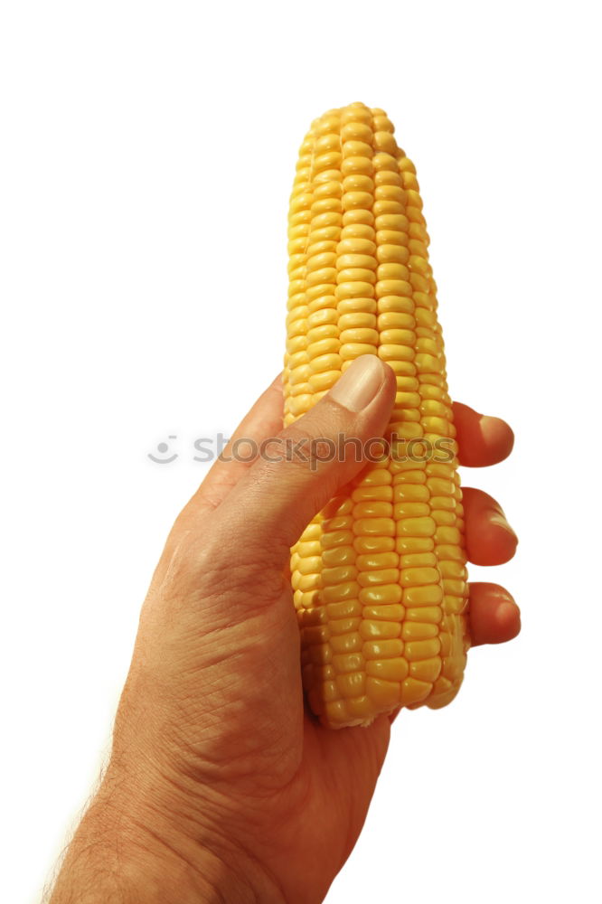 Image, Stock Photo poppcorn Piston Corn cob