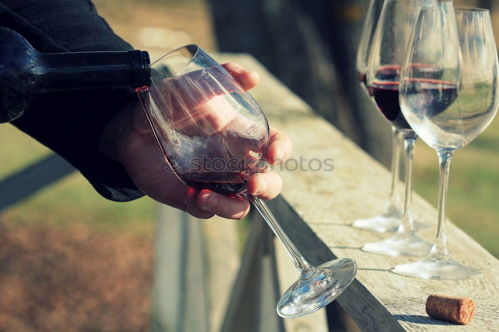 Similar – Image, Stock Photo White wine in a garden with wine glasses
