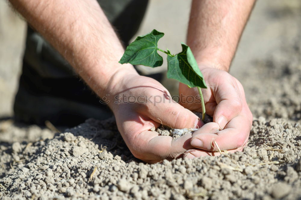 Similar – Image, Stock Photo clam digger