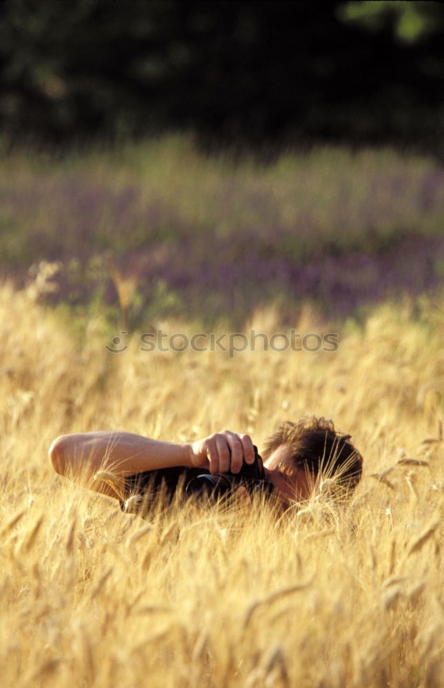 Similar – Image, Stock Photo fates Nature Plant Moss