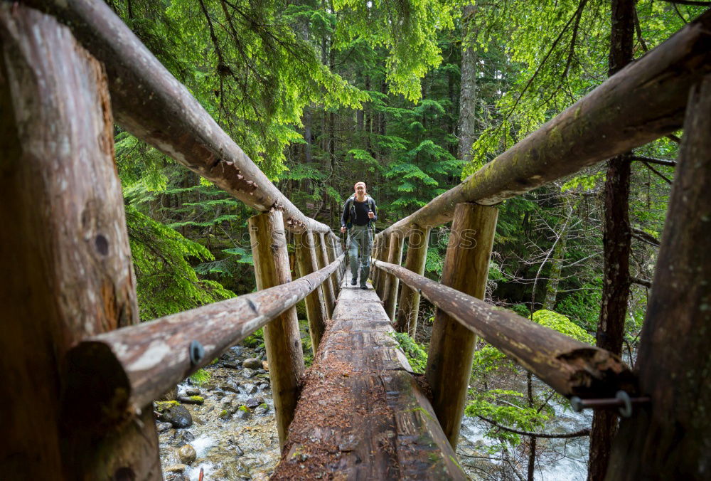 Similar – Image, Stock Photo Man walking on bridge on trees