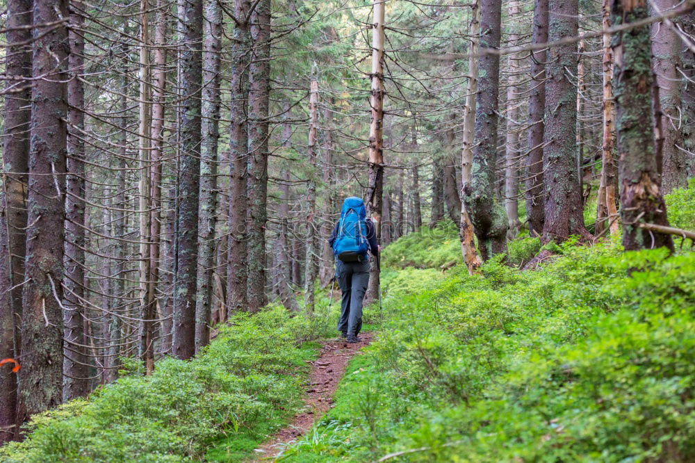 Similar – Image, Stock Photo Man riding a bicycle through the Spreewald forest