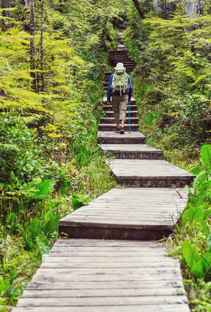 Similar – Image, Stock Photo confessions on bridges