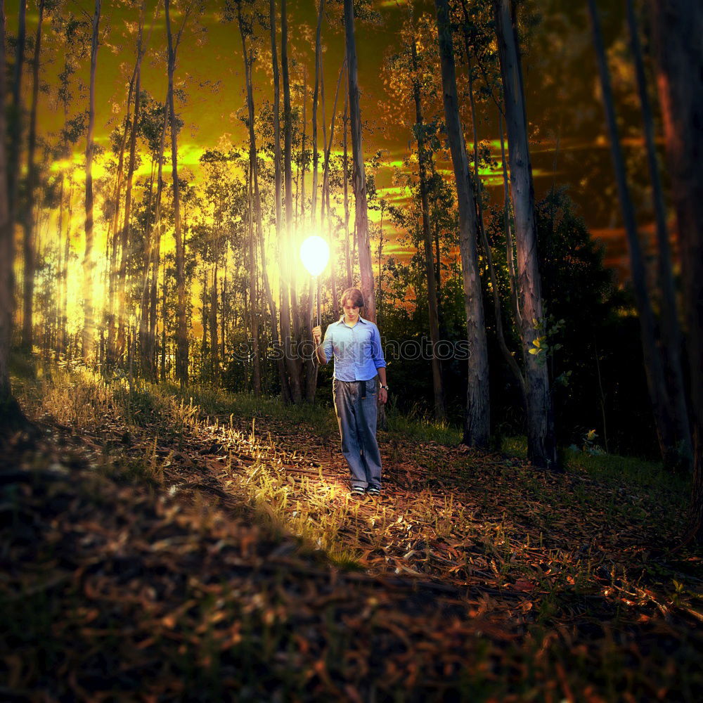 Similar – Foto Bild Waldgeist Herbst Hexe