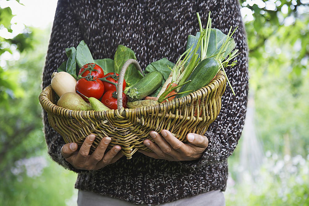 Similar – Image, Stock Photo Children’s hands holding pole beans