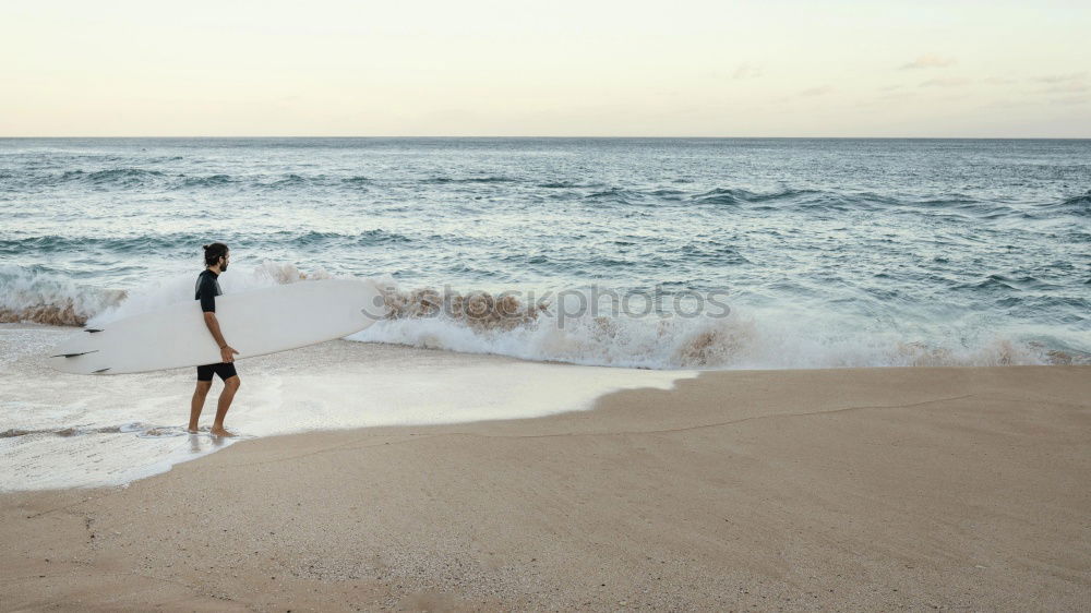 Image, Stock Photo Feminine Young woman