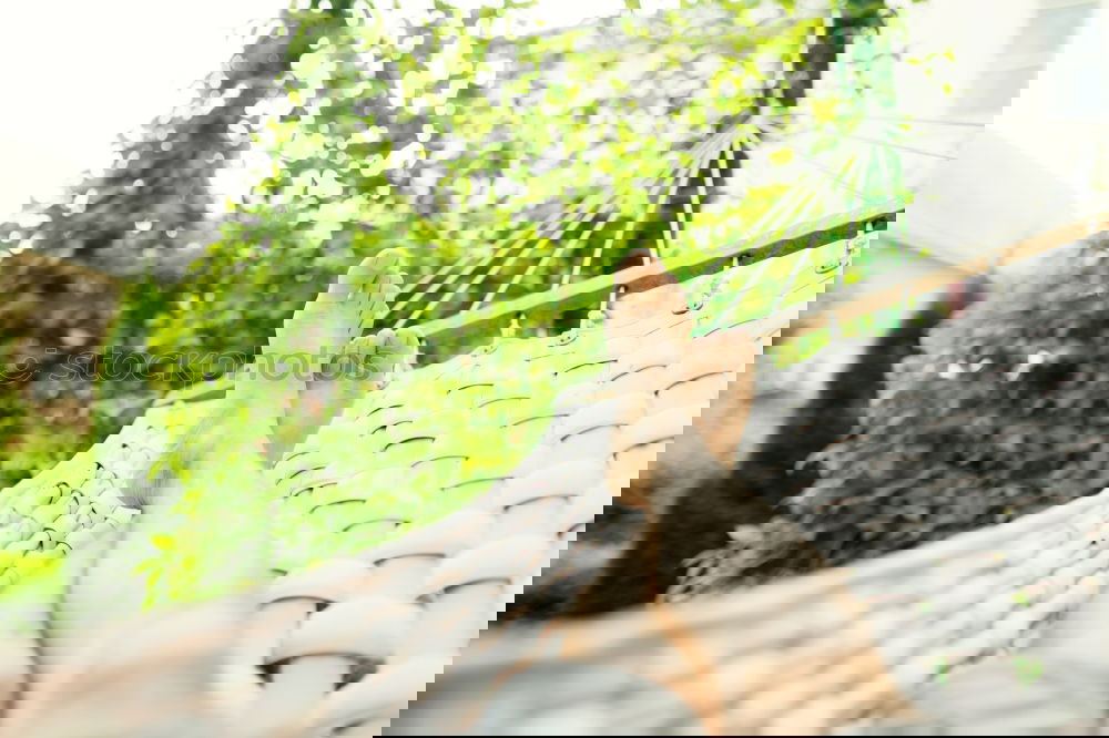 Similar – Image, Stock Photo Holiday! mmmmh! Harmonious