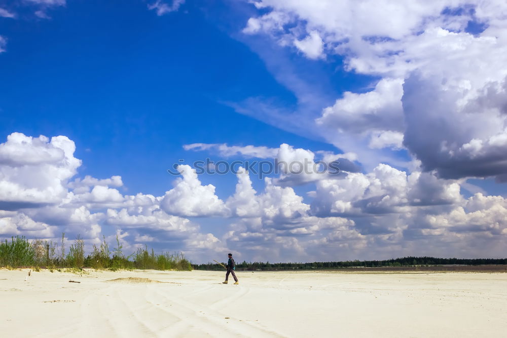 Similar – Coastal forest at the Baltic Sea