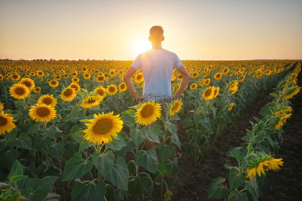 Similar – Image, Stock Photo Run! Joy Happy Fragrance