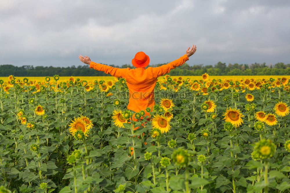 Similar – dandelion Flower Meadow