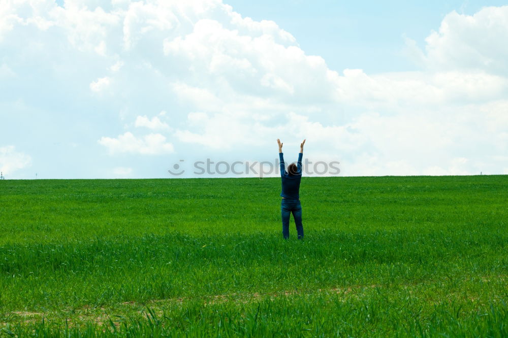 Image, Stock Photo summer walk Sunbeam