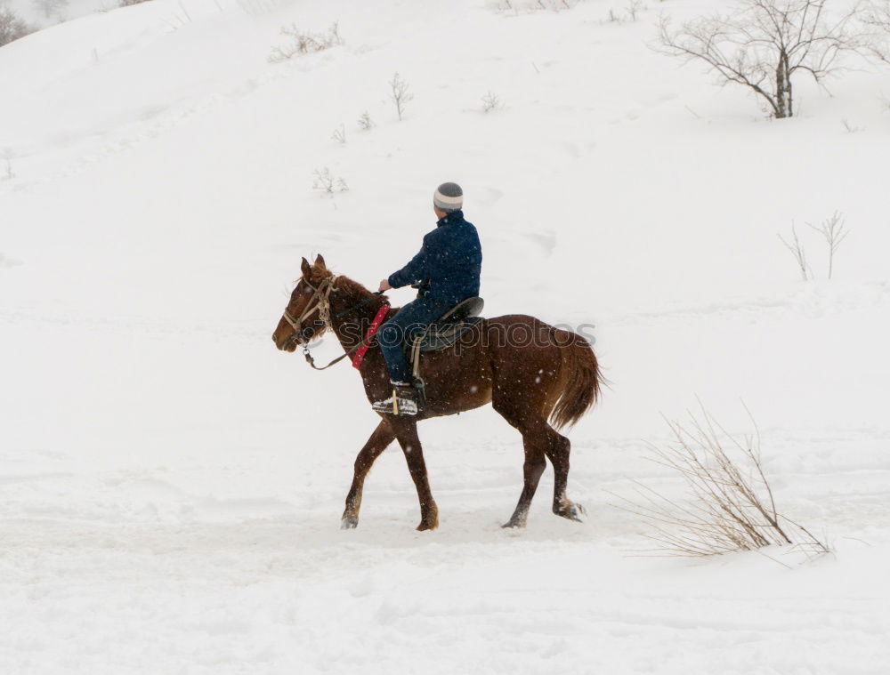 Similar – Foto Bild Zwei Personen reiten Pferde im Winter