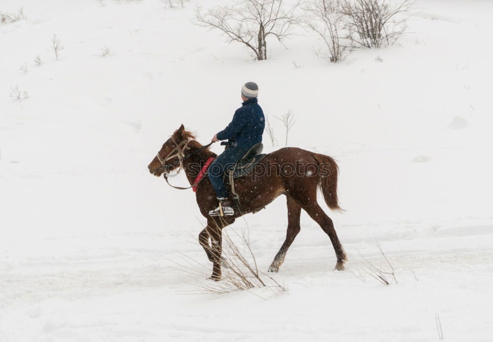 Similar – Foto Bild Zwei Personen reiten Pferde im Winter