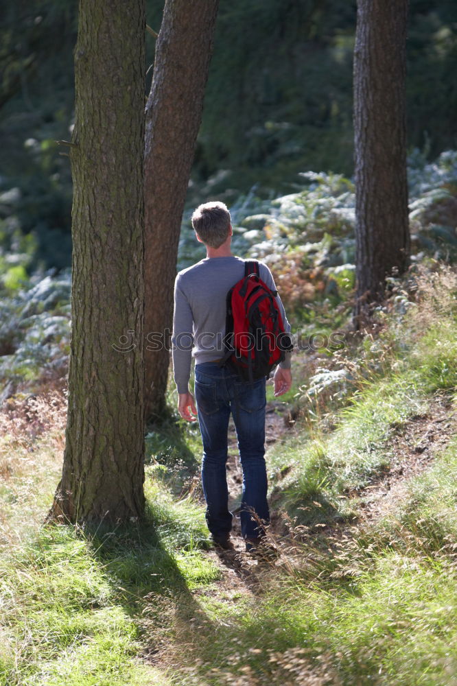 Similar – stick and stone Hiking