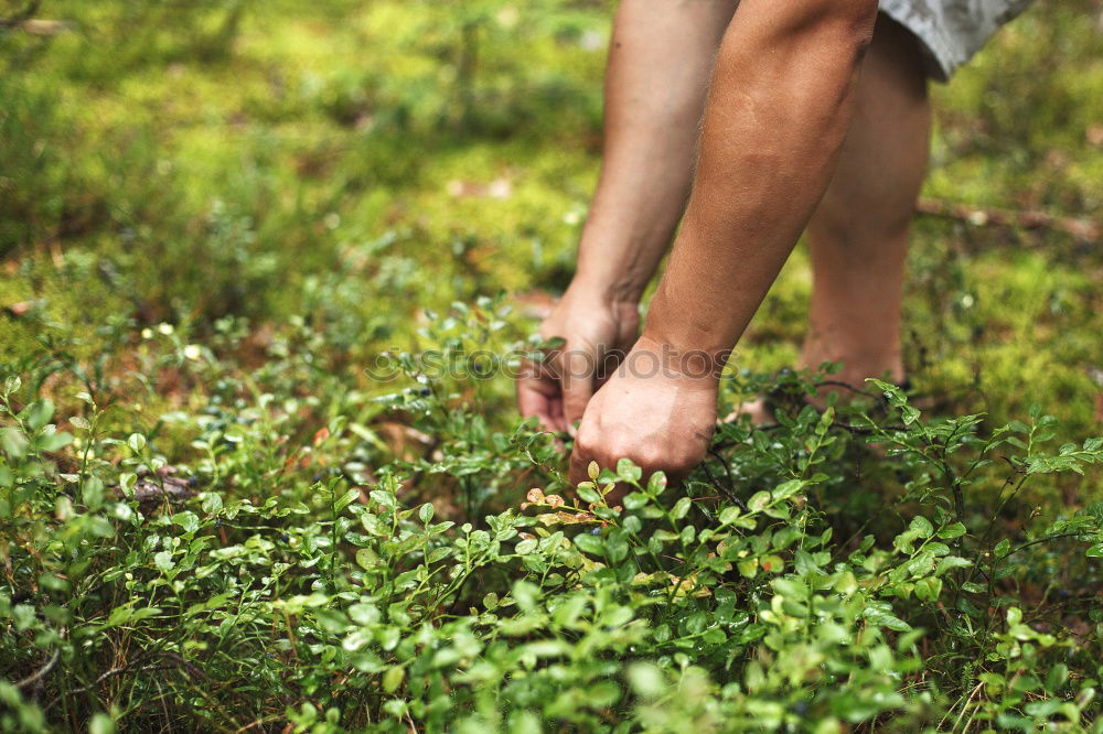 Walking barefoot in nature